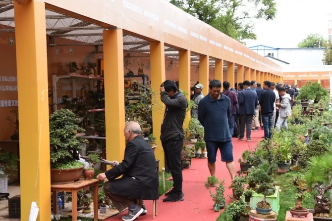 640.webp (23) 640.webp (23)