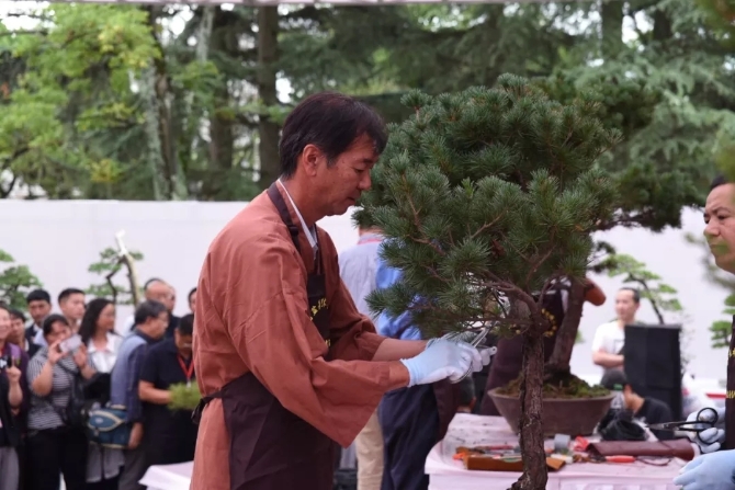 日本盆景大師—吹田勇雄.webp 日本盆景大師—吹田勇雄.webp