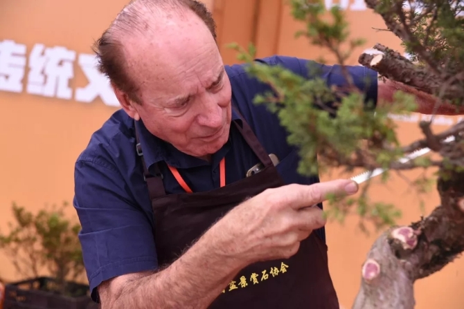 世界盆景友好聯(lián)盟主席—林賽·貝博.webp 世界盆景友好聯(lián)盟主席—林賽·貝博.webp