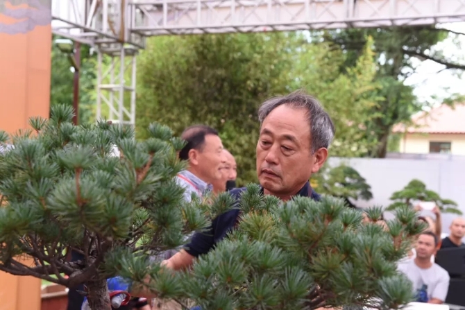 韓國盆景大師—金錫柱.webp 韓國盆景大師—金錫柱.webp