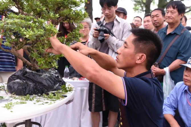 中國盆景大師—張志剛.webp 中國盆景大師—張志剛.webp