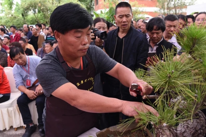 中國盆景大師—吳德軍.webp 中國盆景大師—吳德軍.webp