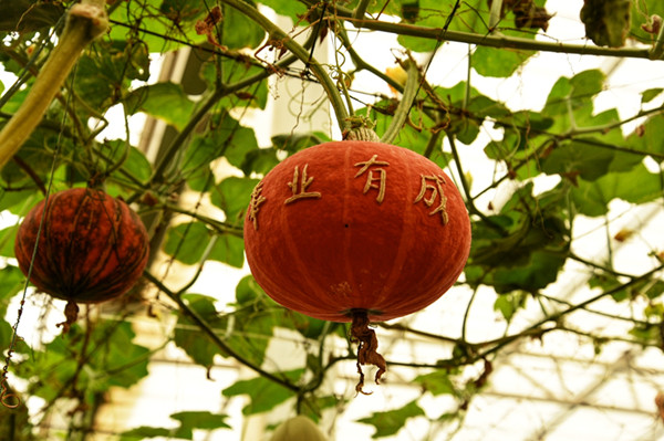 現(xiàn)代科技農(nóng)業(yè)館1