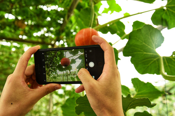 現(xiàn)代科技農(nóng)業(yè)館2