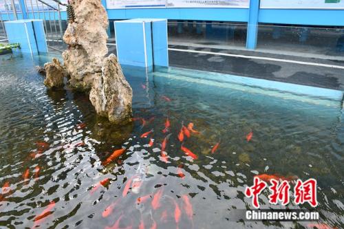 175274_670x670 175274_670x670