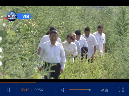 QQ截圖20190715230753