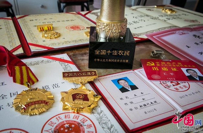 【邊疆黨旗紅】從打工妹到十九大黨代表 川妹子扎根兵團(tuán)帶頭致富