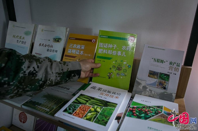 【邊疆黨旗紅】從打工妹到十九大黨代表 川妹子扎根兵團(tuán)帶頭致富