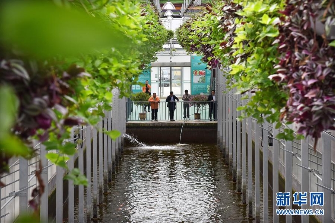 (新華全媒頭條·上半年經(jīng)濟(jì)數(shù)據(jù)透視·圖文互動(dòng))(4)穩(wěn)中有進(jìn) 堅(jiān)定前行——透視中國經(jīng)濟(jì)“半年考”答卷