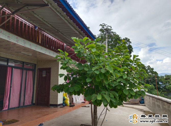 d4b4446b-b216-48ab-a34f-bdf347ca328b_watermark d4b4446b-b216-48ab-a34f-bdf347ca328b_watermark