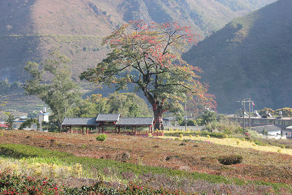 2019年2月15日百花嶺旅游小鎮(zhèn) 2019年2月15日百花嶺旅游小鎮(zhèn)