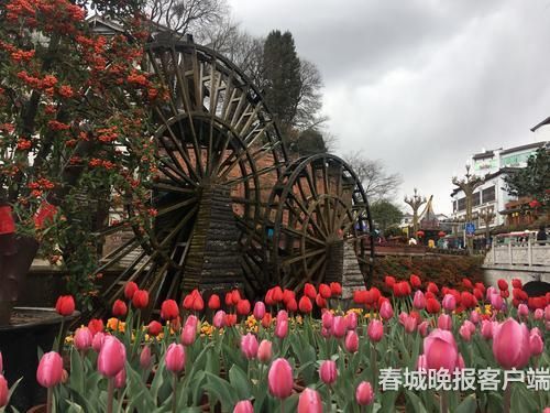 麗江:建世界一流旅游目的地4木曉雯攝