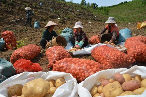 00300771242_2ed84a25 00300771242_2ed84a25