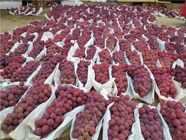 1190098219 1190098219