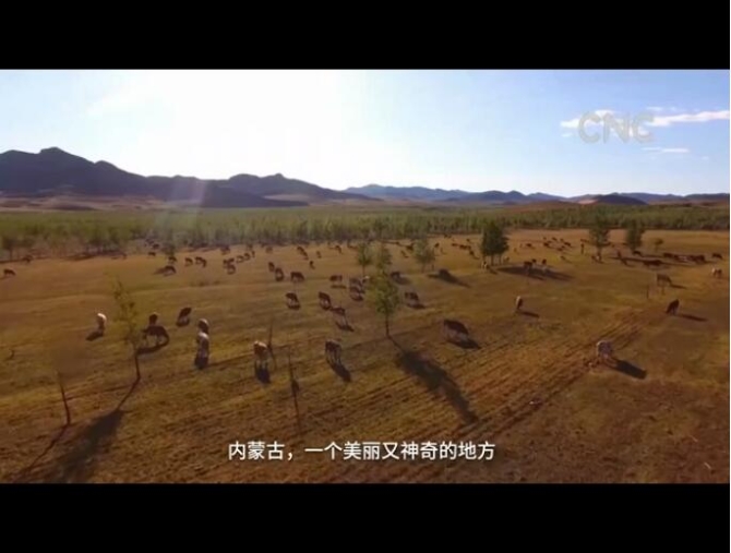 QQ截圖20190718173842