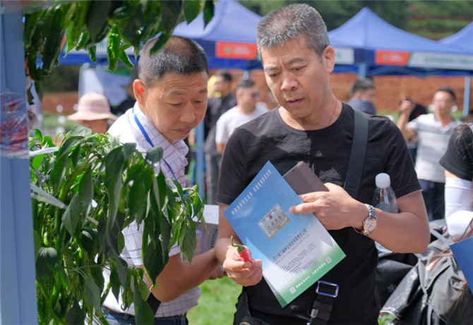 DSCF0264_副本 DSCF0264_副本