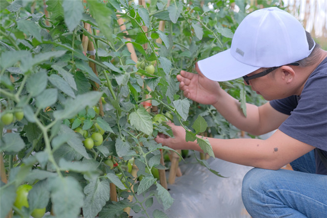 DSCF0428_副本 DSCF0428_副本