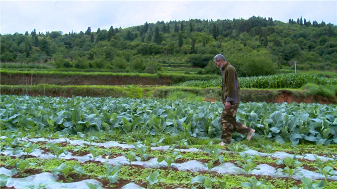 QQ圖片20190719095127 QQ圖片20190719095127