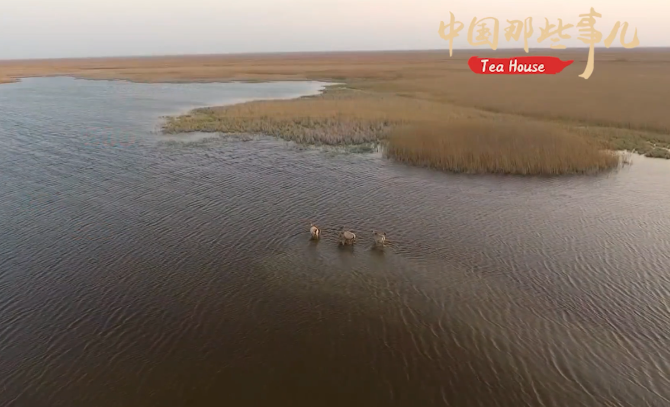 【中國(guó)那些事兒】 又獲殊榮！世界遺產(chǎn)保護(hù)進(jìn)入“中國(guó)時(shí)間”