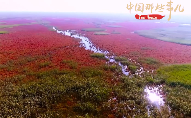 【中國(guó)那些事兒】 又獲殊榮！世界遺產(chǎn)保護(hù)進(jìn)入“中國(guó)時(shí)間”