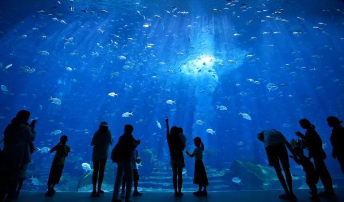 海南，你怎么這么好看！