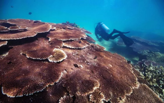 海南，你怎么這么好看！