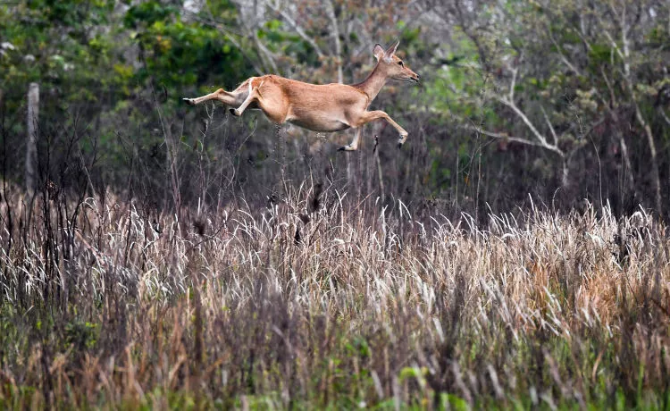 海南，你怎么這么好看！