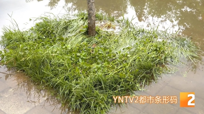 640.webp (10) 640.webp (10)