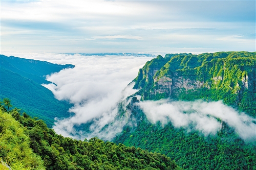 1124774873_15635231543421n 1124774873_15635231543421n