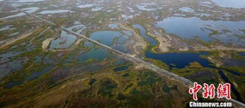 點擊進(jìn)入下一頁