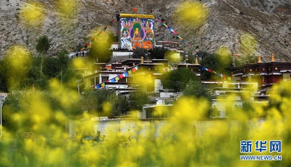 f44d30758a2f1e98c29b2f