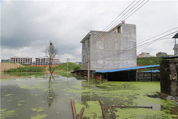 微信圖片_20190725182015