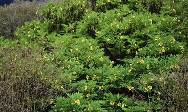 微信圖片_20190725201301