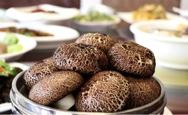 viewfile (8) viewfile (8)