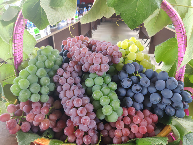 385529368_副本 385529368_副本