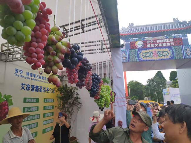 714247260_副本 714247260_副本