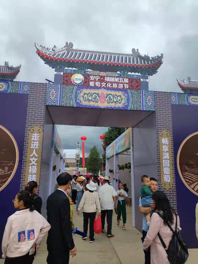 1745560067_副本 1745560067_副本