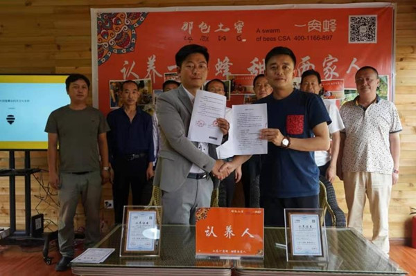 認(rèn)養(yǎng)一窩蜂 (1) 認(rèn)養(yǎng)一窩蜂 (1)