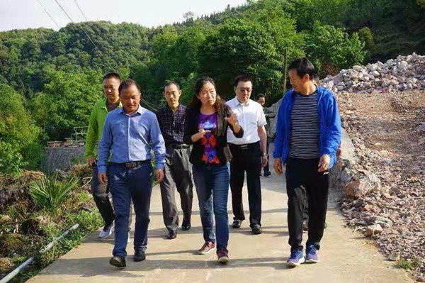 認(rèn)養(yǎng)一窩蜂 (3) 認(rèn)養(yǎng)一窩蜂 (3)