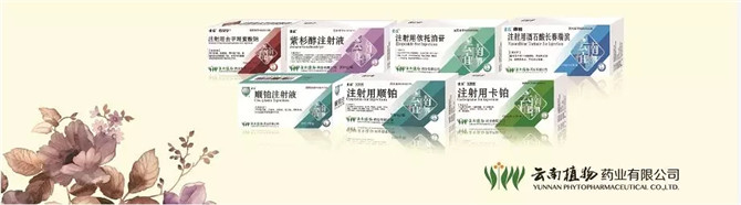 云植藥業(yè)抗腫瘤藥物產(chǎn)品集群.webp 云植藥業(yè)抗腫瘤藥物產(chǎn)品集群.webp