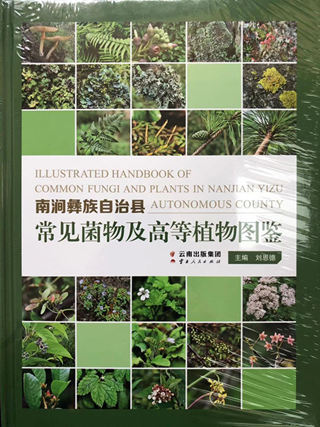《南澗彝族自治縣常見菌物及高等植物圖鑒》