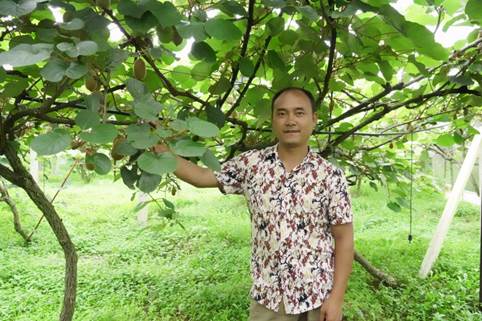 一顆獼猴桃 撬動鄉(xiāng)鎮(zhèn)經(jīng)濟發(fā)展 種植戶 黃良華.jpg