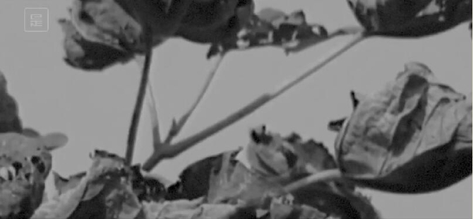 QQ截圖20190729191503