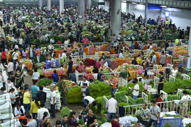 圖片4  斗南花花世界主場館夜間交易盛況。