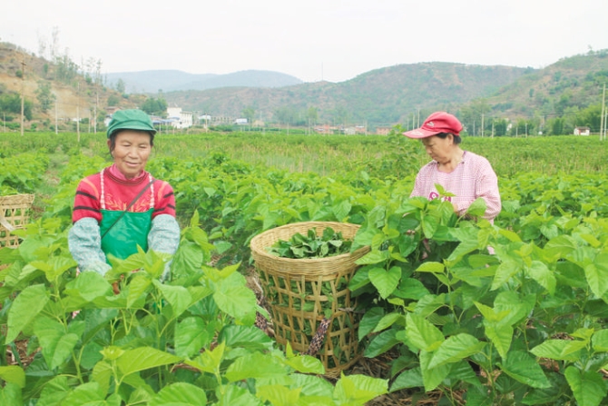 3bf06a53-b660-4b90-bd9c-17a865c6b47a.jpg 3bf06a53-b660-4b90-bd9c-17a865c6b47a.jpg