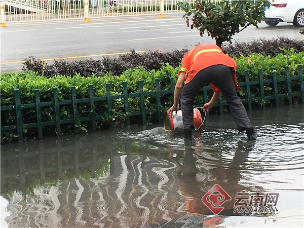 00300805134_8af8267e 00300805134_8af8267e