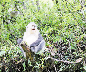 60981564509660504 60981564509660504