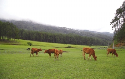 00300805346_74f6f84c