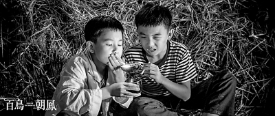 藝術電影叫好也要叫座 藝術電影叫好也要叫座