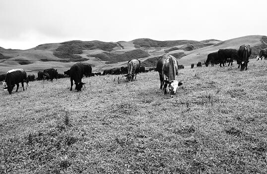 186085_670x670 186085_670x670